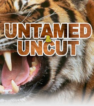 Untamed & Uncut 1000 images about Untamed and Uncut on Pinterest Cutest pets