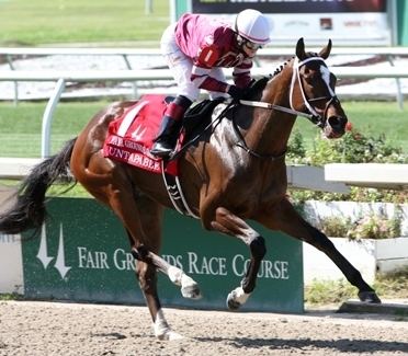 Untapable TwinSpirescom Untapable honored as Fair Grounds39 Horse of the
