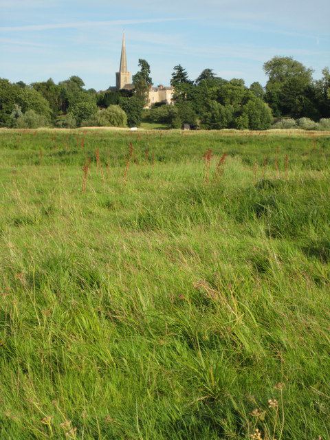 Upham Meadow and Summer Leasow