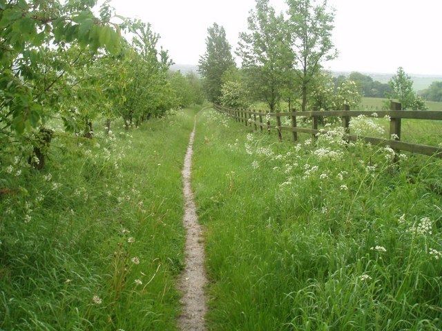 Upper Birchwood