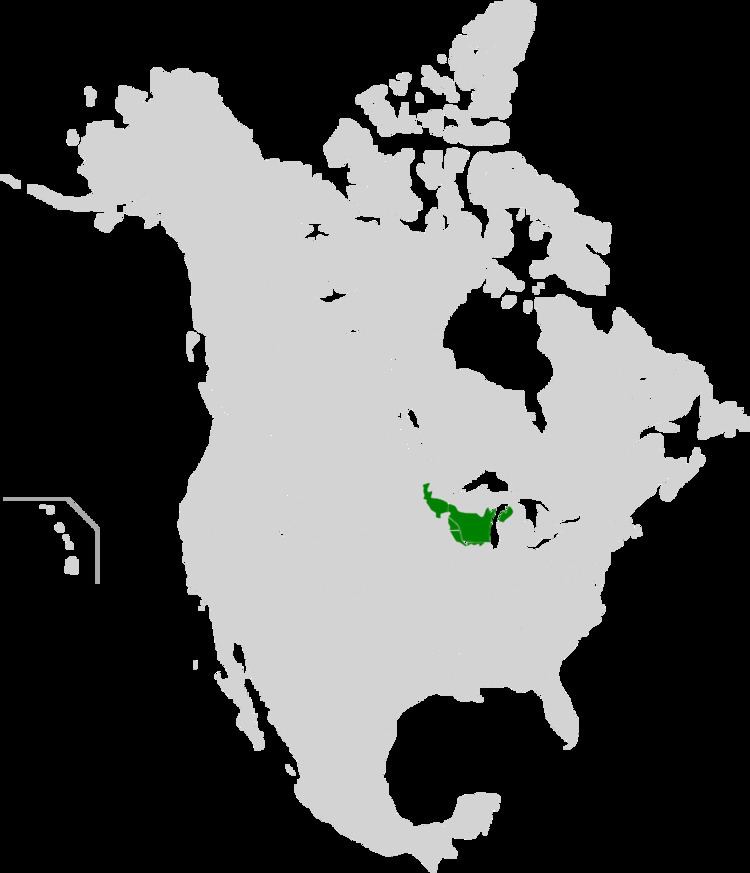 Upper Midwest forest-savanna transition