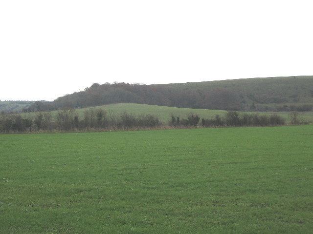 Upton Cow Down