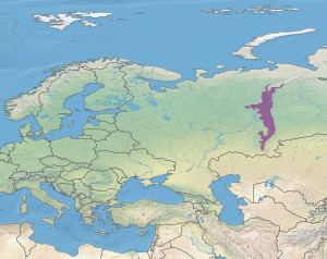 Urals montane tundra and taiga httpsuploadwikimediaorgwikipediacommonsthu