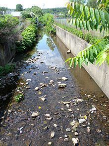 Urban stream httpsuploadwikimediaorgwikipediacommonsthu