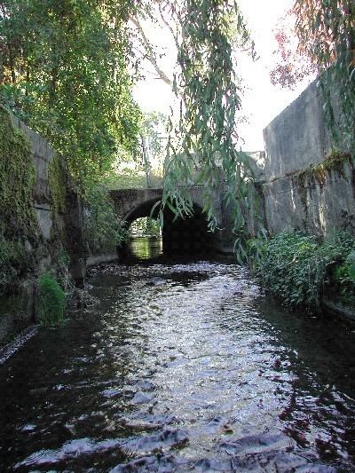 Urban stream Urban streams with green walls Highly Allochthonous