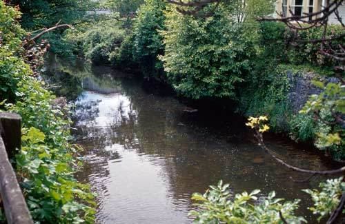 Urban stream Urban stream Water resources Te Ara Encyclopedia of New Zealand