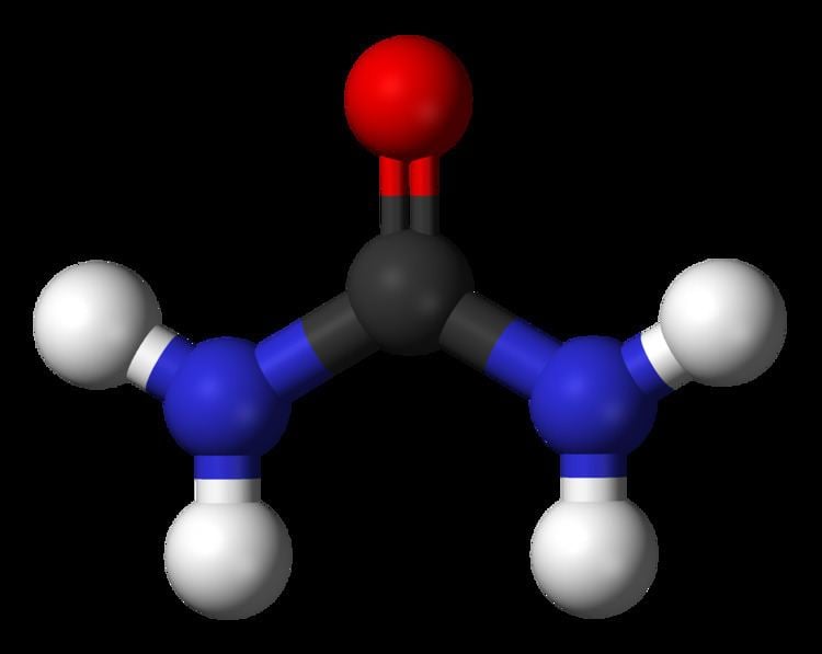 Urea Blood urea nitrogen Wikipedia