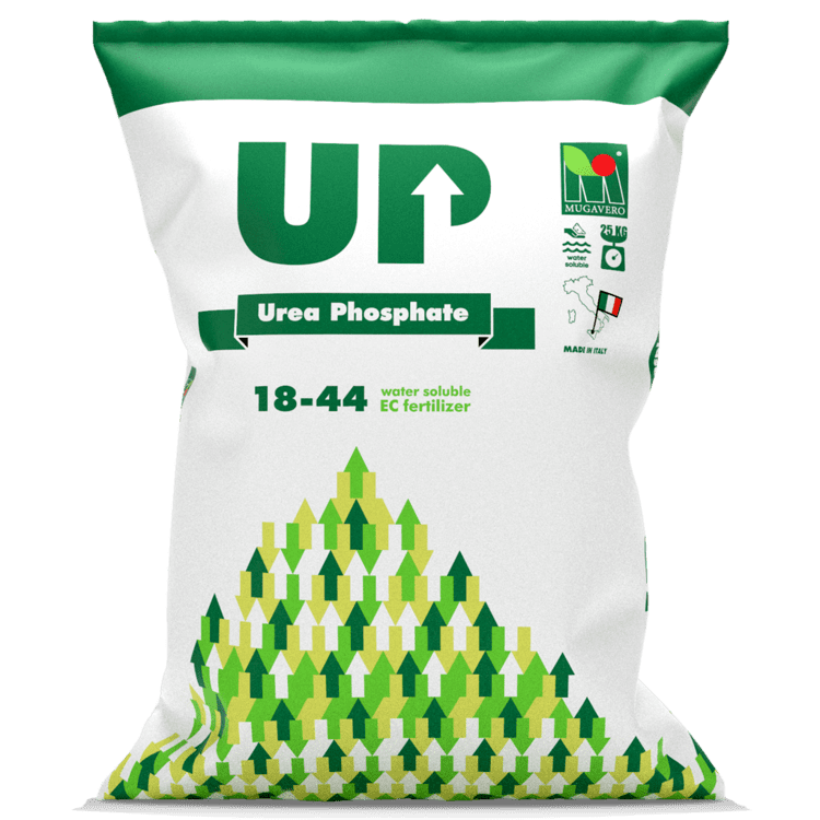 Urea phosphate UP UREA PHOSPHATE Mugavero