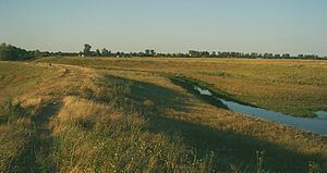 Șurgani River httpsuploadwikimediaorgwikipediarothumb0
