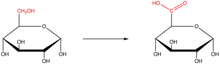 Uronic acid Uronic Acid OChemPal