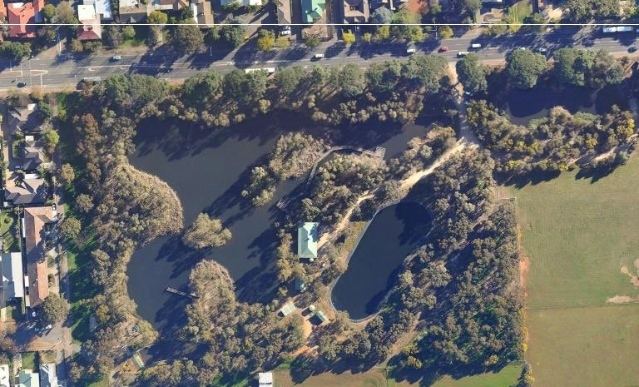 Urrbrae Wetland