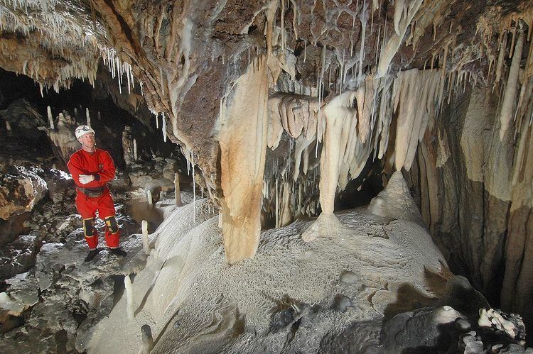 Ursa Minor (cave)