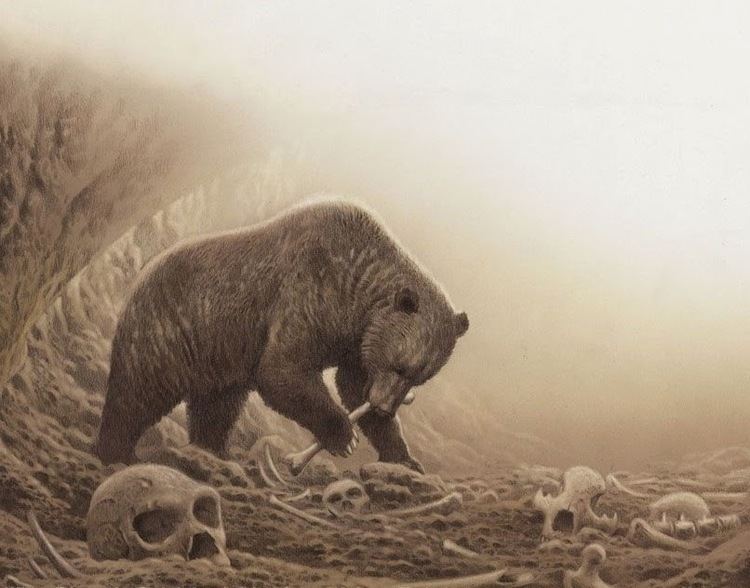 Ursus deningeri Made in Pangea Atapuerca 3 Clima plantas y animalicos
