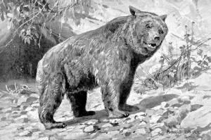 Ursus etruscus Etruscan Bear Ursus Etruscus Clip Art Download