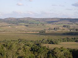 Uruguayan savanna httpsuploadwikimediaorgwikipediacommonsthu