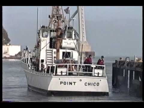 USCGC Point Chico (WPB-82339) httpsiytimgcomviHueHZRMk7whqdefaultjpg