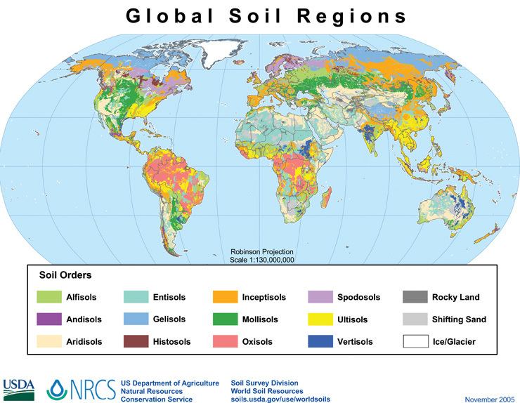 USDA soil taxonomy