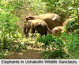 Ushakothi Wildlife Sanctuary Wildlife Sanctaury Sambalpur Orissa