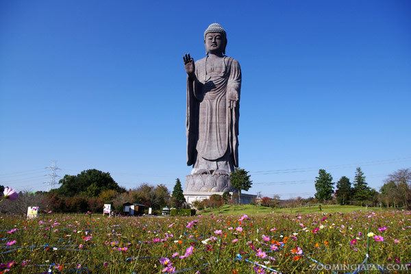 Ushiku Daibutsu One of the World39s Tallest Statues Ushiku Daibutsu