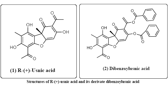 Usnic acid MORE INVESTIGATIONS IN POTENT ACTIVITY AND RELATIONSHIP STRUCTURE OF