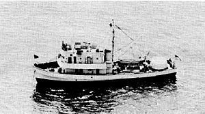 USS Accentor (AMc-36) httpsuploadwikimediaorgwikipediacommonsthu