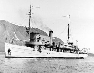 USS Auk (AM-38) httpsuploadwikimediaorgwikipediacommonsthu