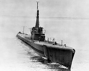 USS Billfish (SS-286) httpsuploadwikimediaorgwikipediacommonsthu
