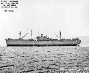 USS Celeno (AK-76) httpsuploadwikimediaorgwikipediacommonsthu