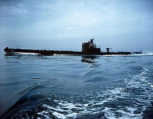 USS Cuttlefish (SS-171) httpsuploadwikimediaorgwikipediacommonsthu