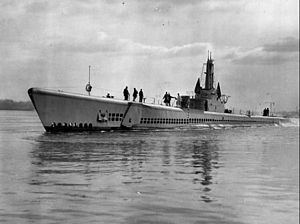USS Escolar (SS-294) httpsuploadwikimediaorgwikipediacommonsthu