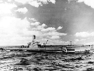 USS Hackleback (SS-295) httpsuploadwikimediaorgwikipediacommonsthu