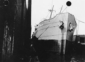 USS Kerlew (ID-1325) httpsuploadwikimediaorgwikipediacommonsthu