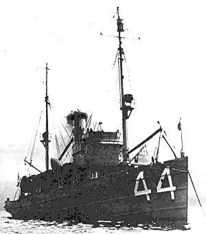 USS Mallard (AM-44) httpsuploadwikimediaorgwikipediacommonsthu