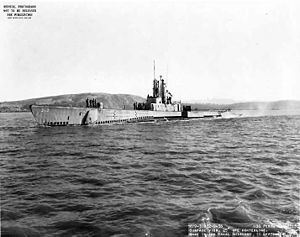 USS Perch (SS-313) httpsuploadwikimediaorgwikipediacommonsthu