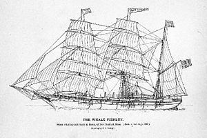 USS Rodgers (1879) httpsuploadwikimediaorgwikipediacommonsthu