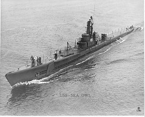 USS Sea Owl (SS-405) httpsuploadwikimediaorgwikipediacommonsthu