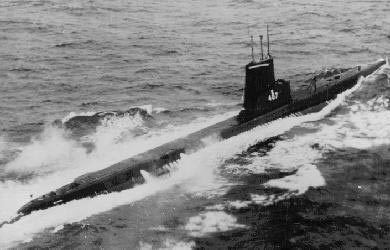 USS Sea Robin (SS-407) Sea Robin SS407 of the US Navy American Submarine of the Balao