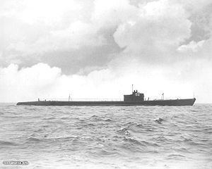 USS Seal (SS-183) httpsuploadwikimediaorgwikipediacommonsthu