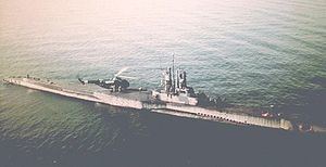 USS Sealion (SS-315) USS Sealion SS315 Wikipedia
