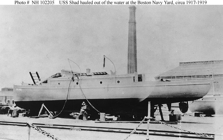 USS Shad (SP-551)