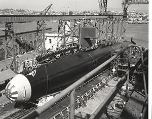 USS Theodore Roosevelt (SSBN-600) httpsuploadwikimediaorgwikipediacommonsthu
