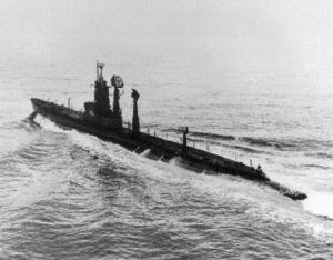 USS Tigrone (SS-419) httpsuploadwikimediaorgwikipediacommonsthu