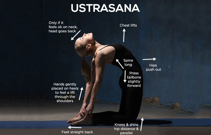 Ustrasana How To Do The Ustrasana And What Are Its Benefits