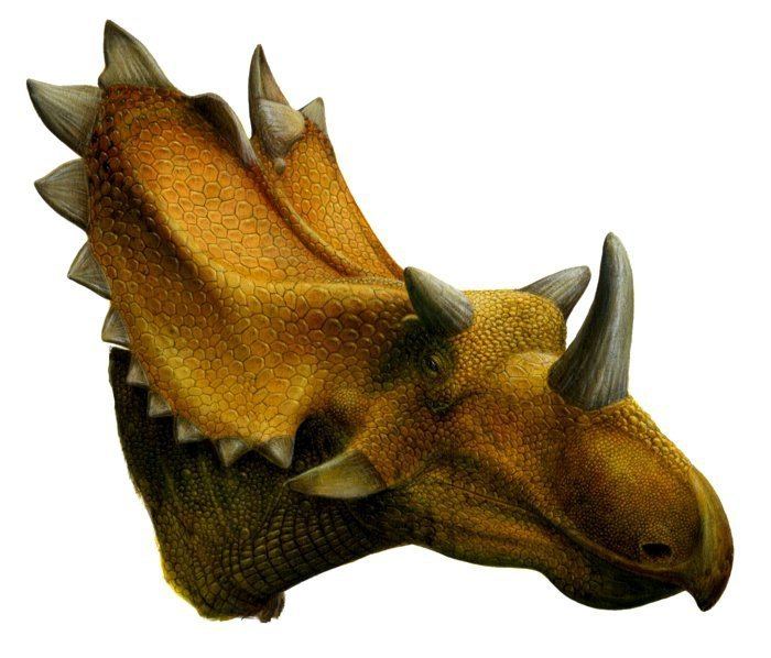 Utahceratops Utahceratops v Utahraptor Pack of 2