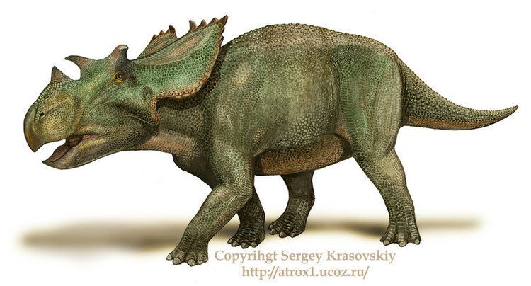 Utahceratops Utahceratops gettyi