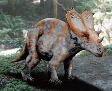 Utahceratops httpsuploadwikimediaorgwikipediacommonsthu