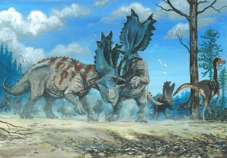 Utahceratops utahceratops DeviantArt