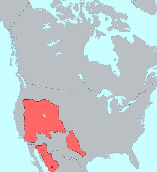 Uto-Aztecan languages