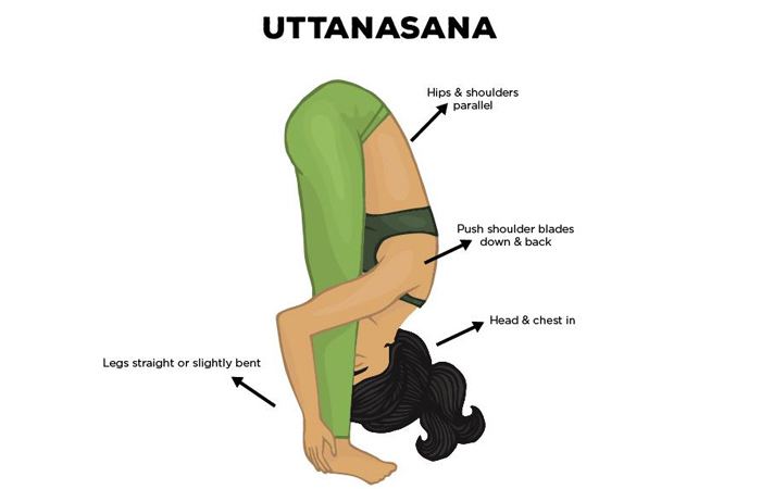 Uttanasana How To Do The Uttanasana And What Are Its Benefits