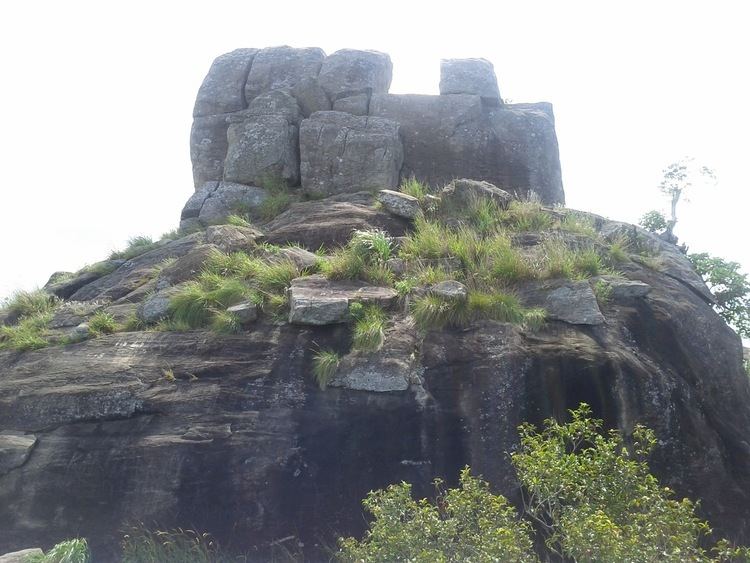 Utuwankande Sura Saradiel Hike to Uthuwankanda and Bathalegala part 1 A Long Way Back